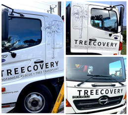 treerecovery
